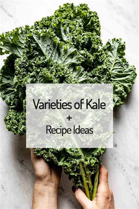 kale kut|Different Types of Kale: 7 Varieties and How to Use Them .